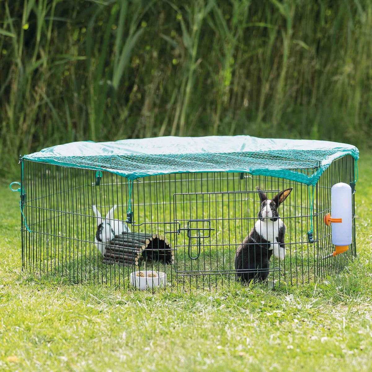Jungtiergehege mit Schutznetz