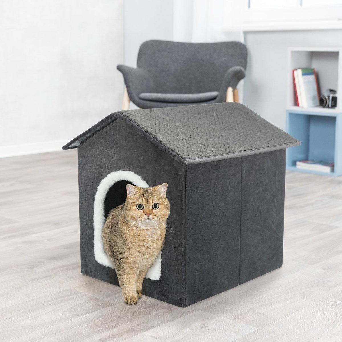 Hundehaus Katzenhaus Livia
