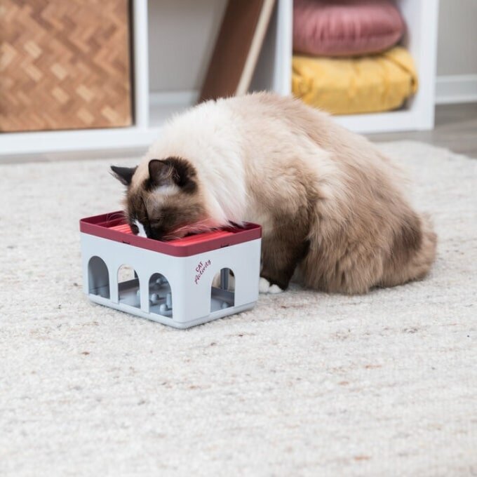 Cat Activity Rod Box Katzenstrategiespiel
