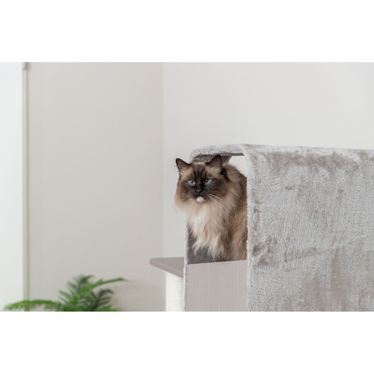 TRIXIE Kratzbaum Marina â Robuster Kratzbaum in Holz-Optik, ideal fĂŒr mittlere Katzen đ