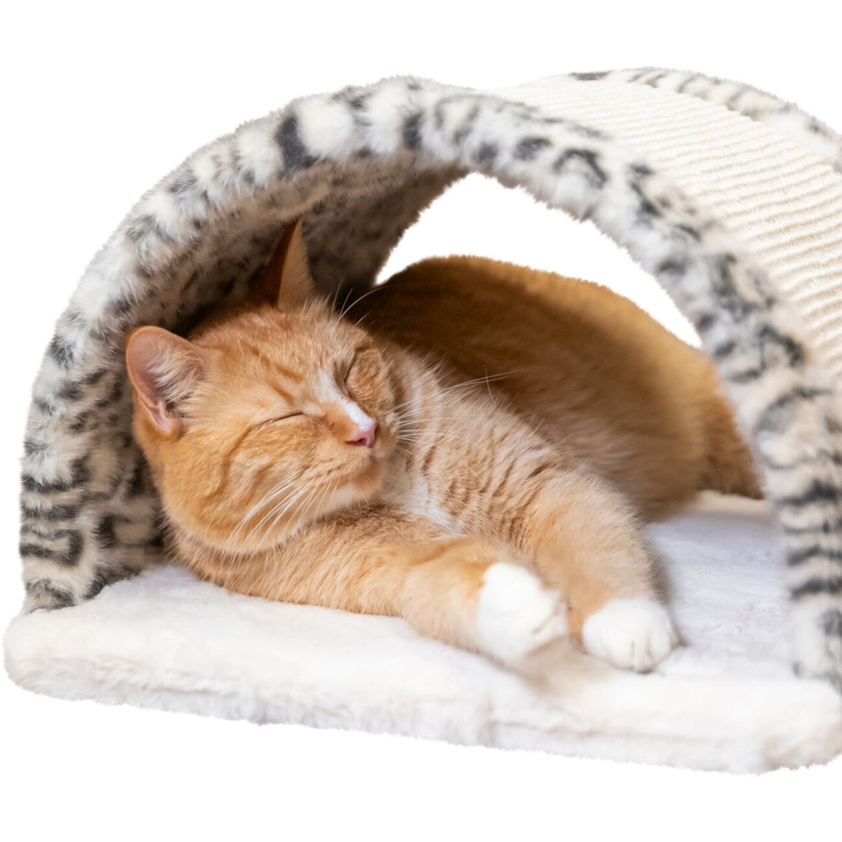 Kratzbrücke Leo – 25 cm, creme