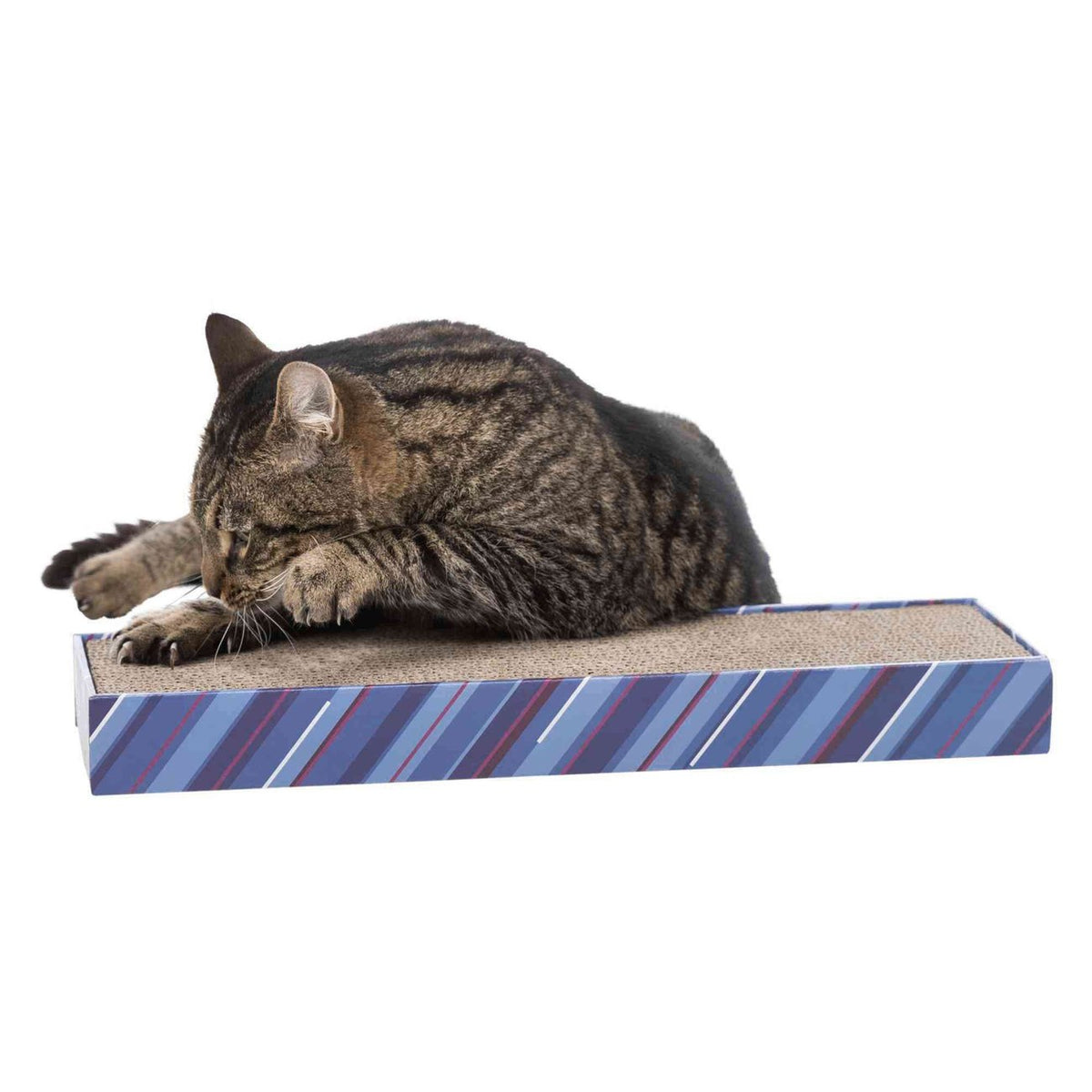 Kratzpappe Scratchy