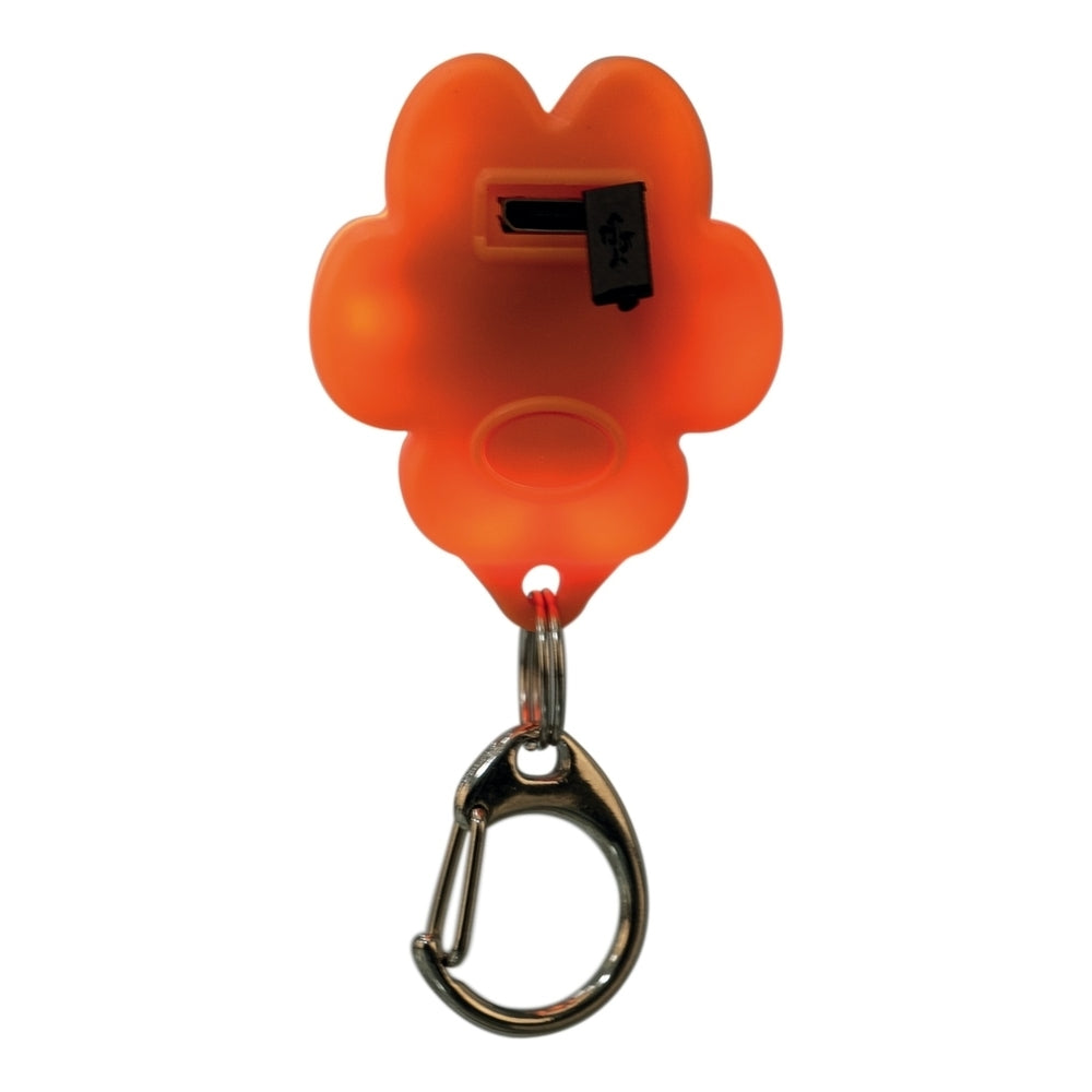 Trixie Leuchtanhänger Flasher für Hunde, USB