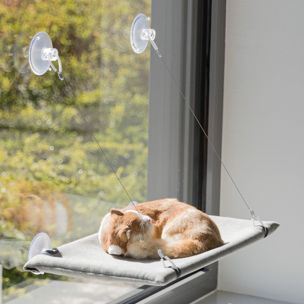 Liegeplatz für Fensterscheibe