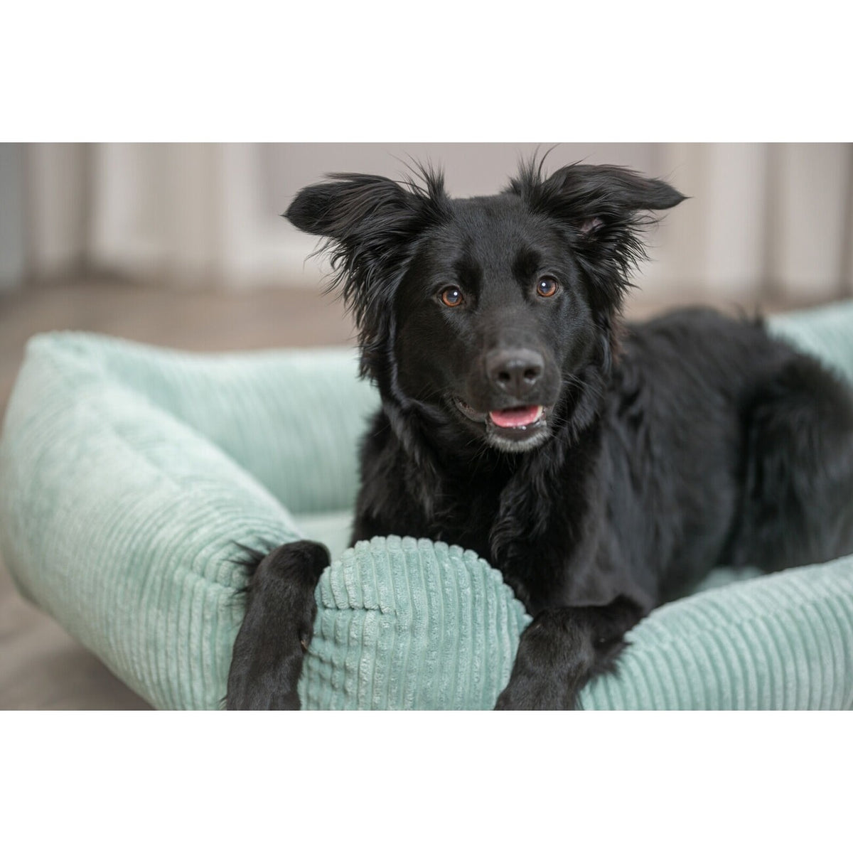 Orthopädisches Hundebett Vitalbett Jonna aus Cordplüsch