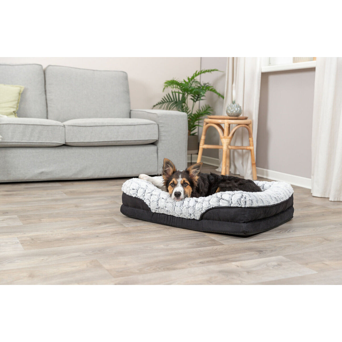 Orthopädisches Vital Hundebett Lino, eckig