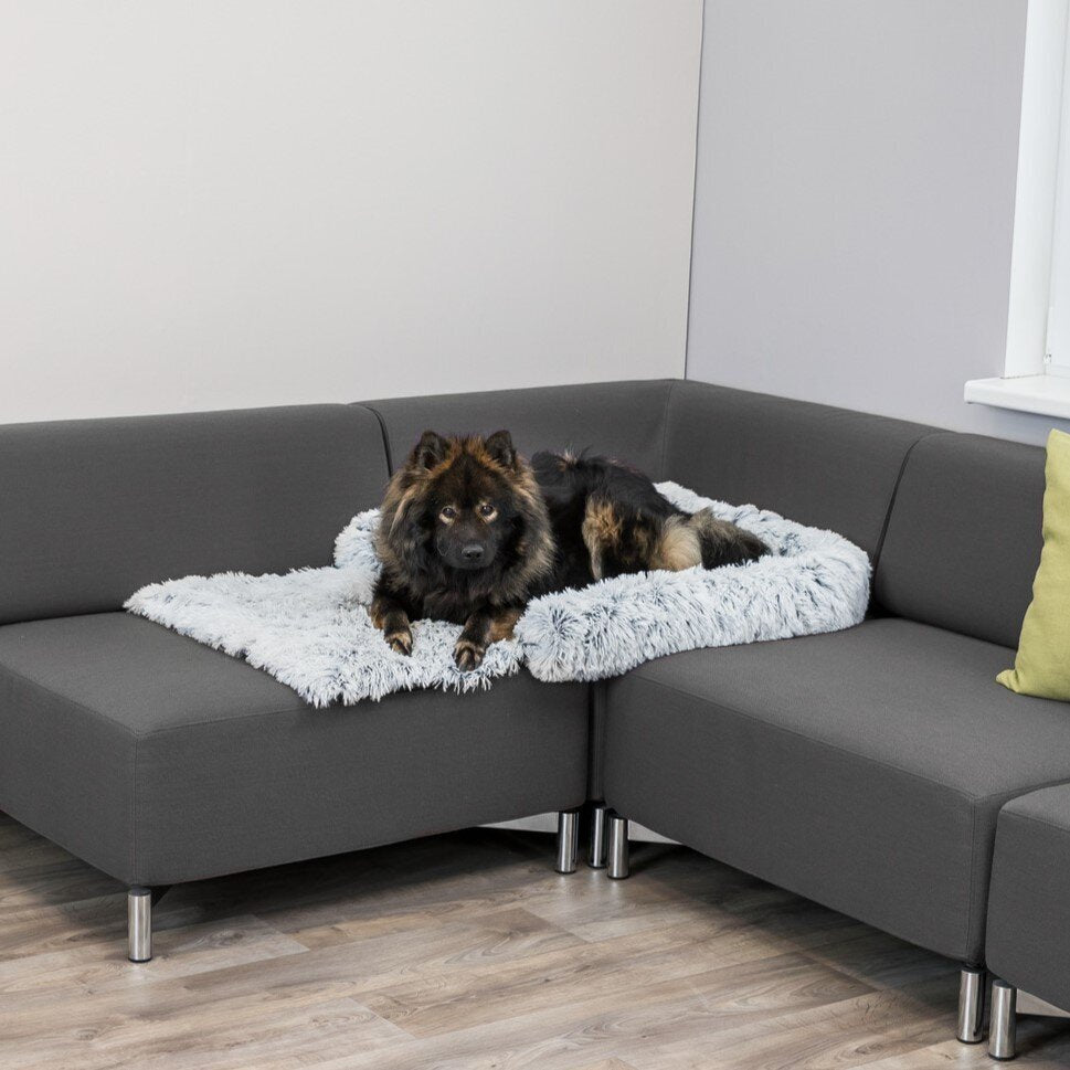 Polster-Schondecke Harvey für Hunde
