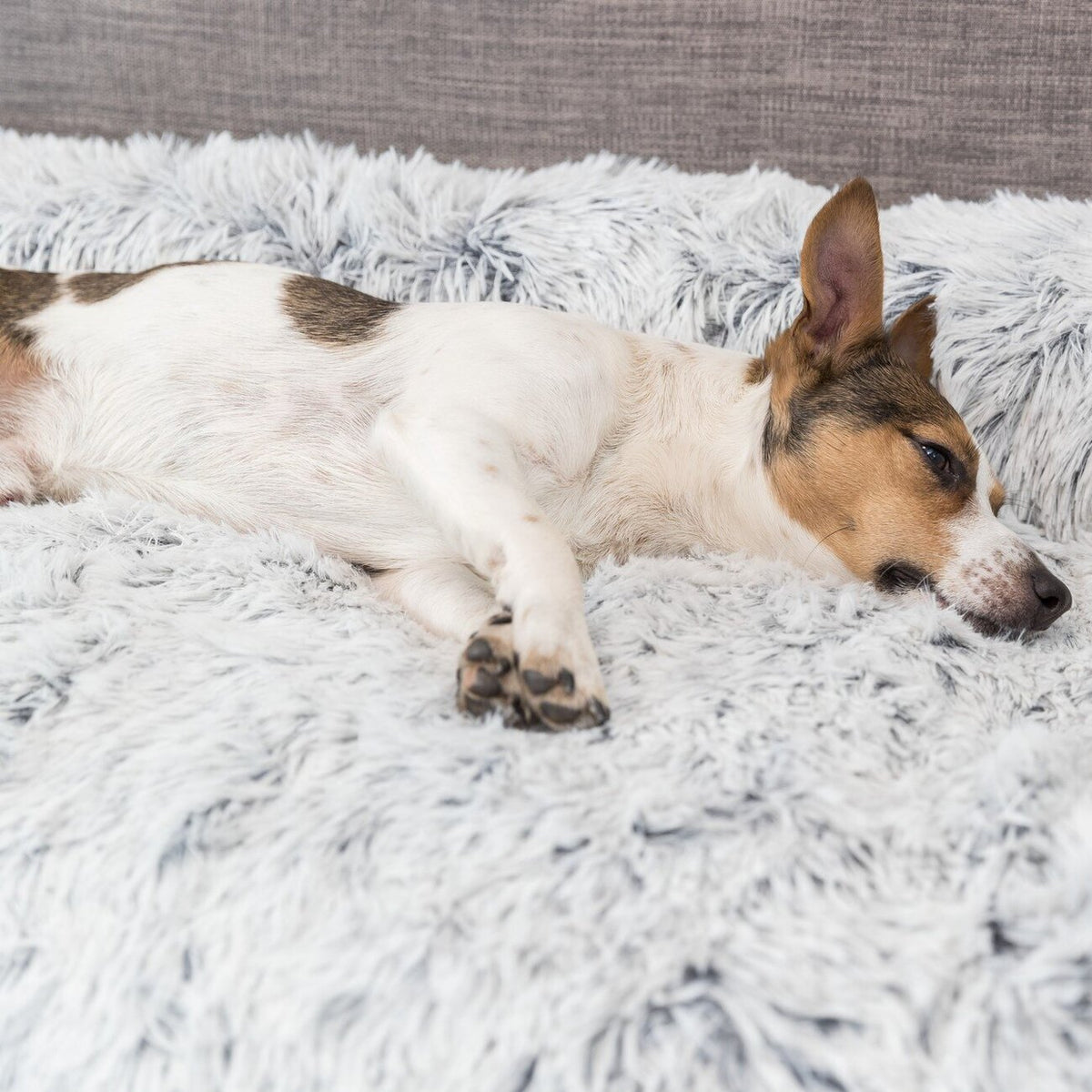 Polster-Schondecke Harvey für Hunde