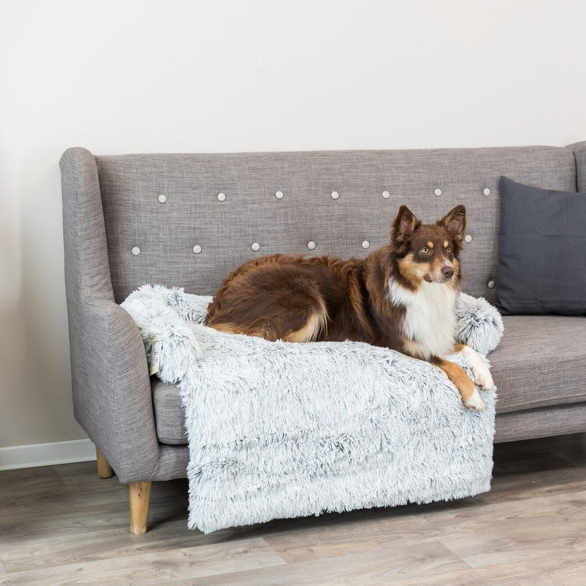 Polster-Schondecke Harvey für Hunde