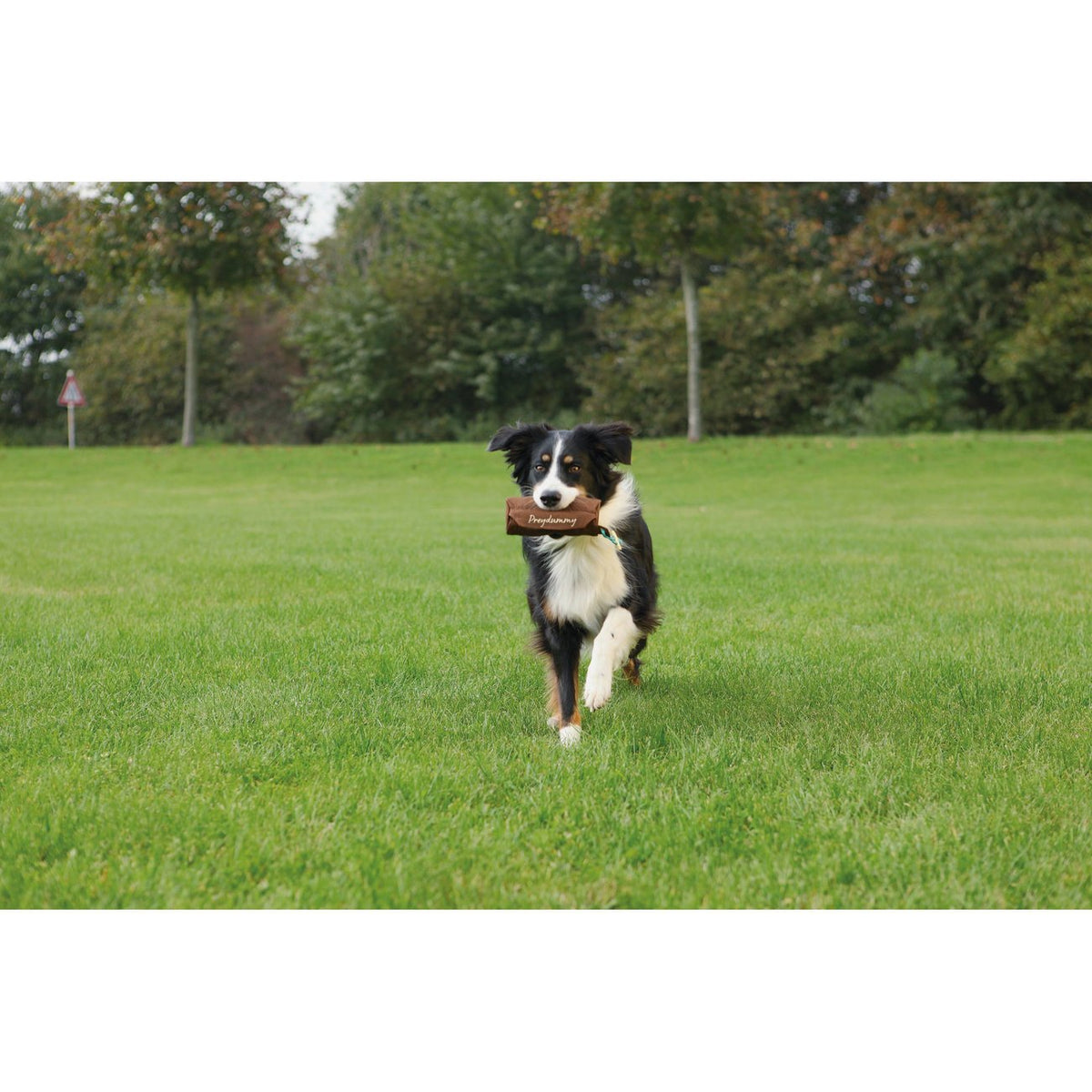 Trixie Preydummy Futterdummy von Jan Nijboer – ø 8 × 20 cm, braun