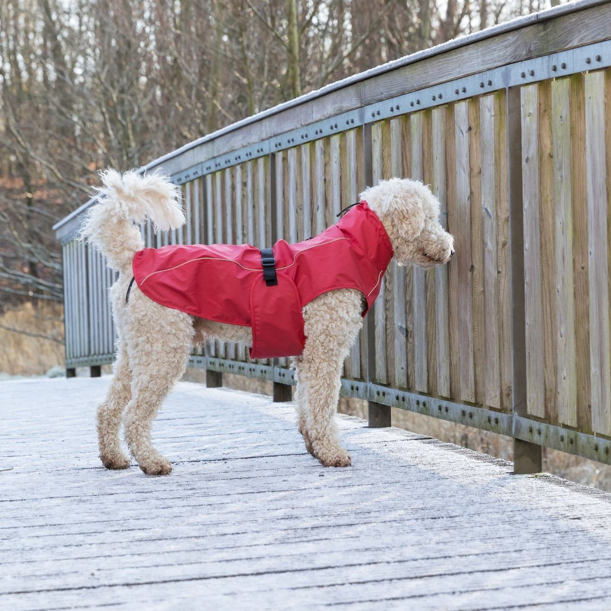 Hunde Regenmantel Vimy mit Bauchschutz