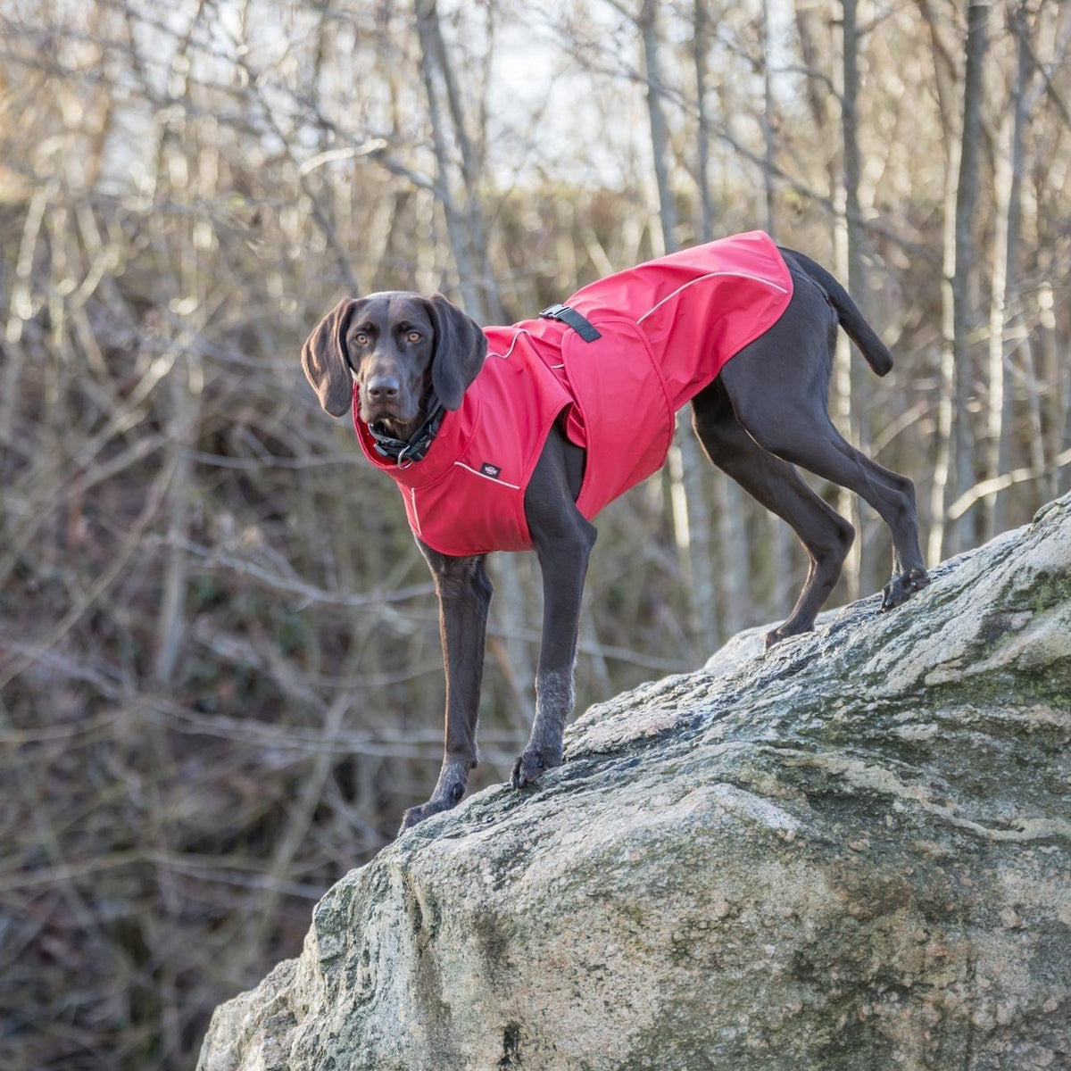 Hunde Regenmantel Vimy mit Bauchschutz