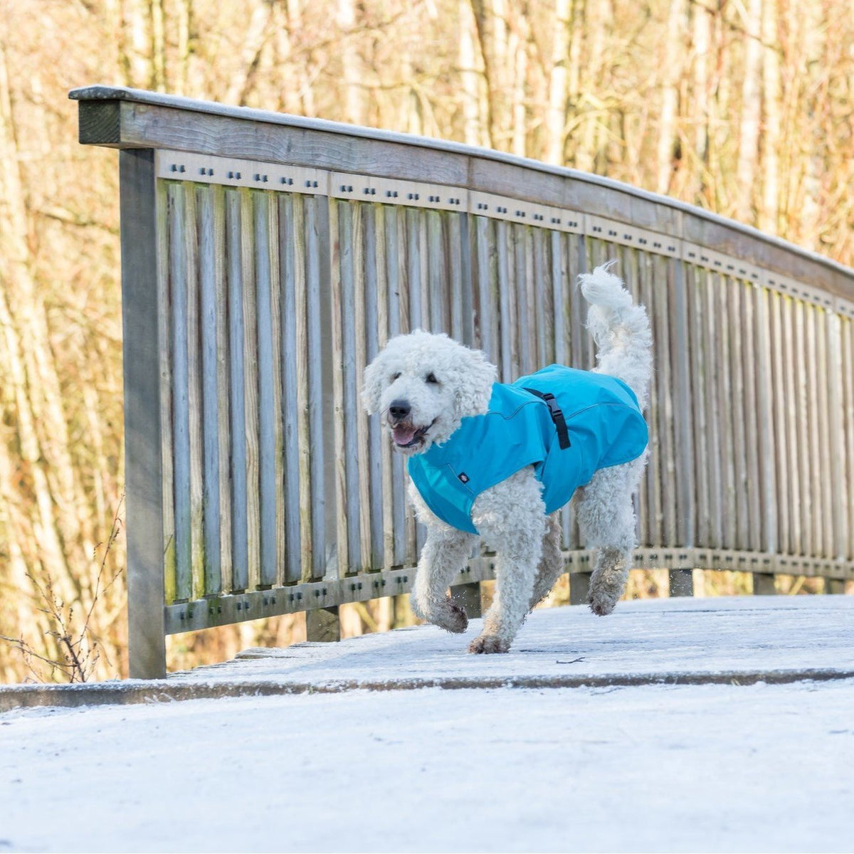 Hunde Regenmantel Vimy mit Bauchschutz