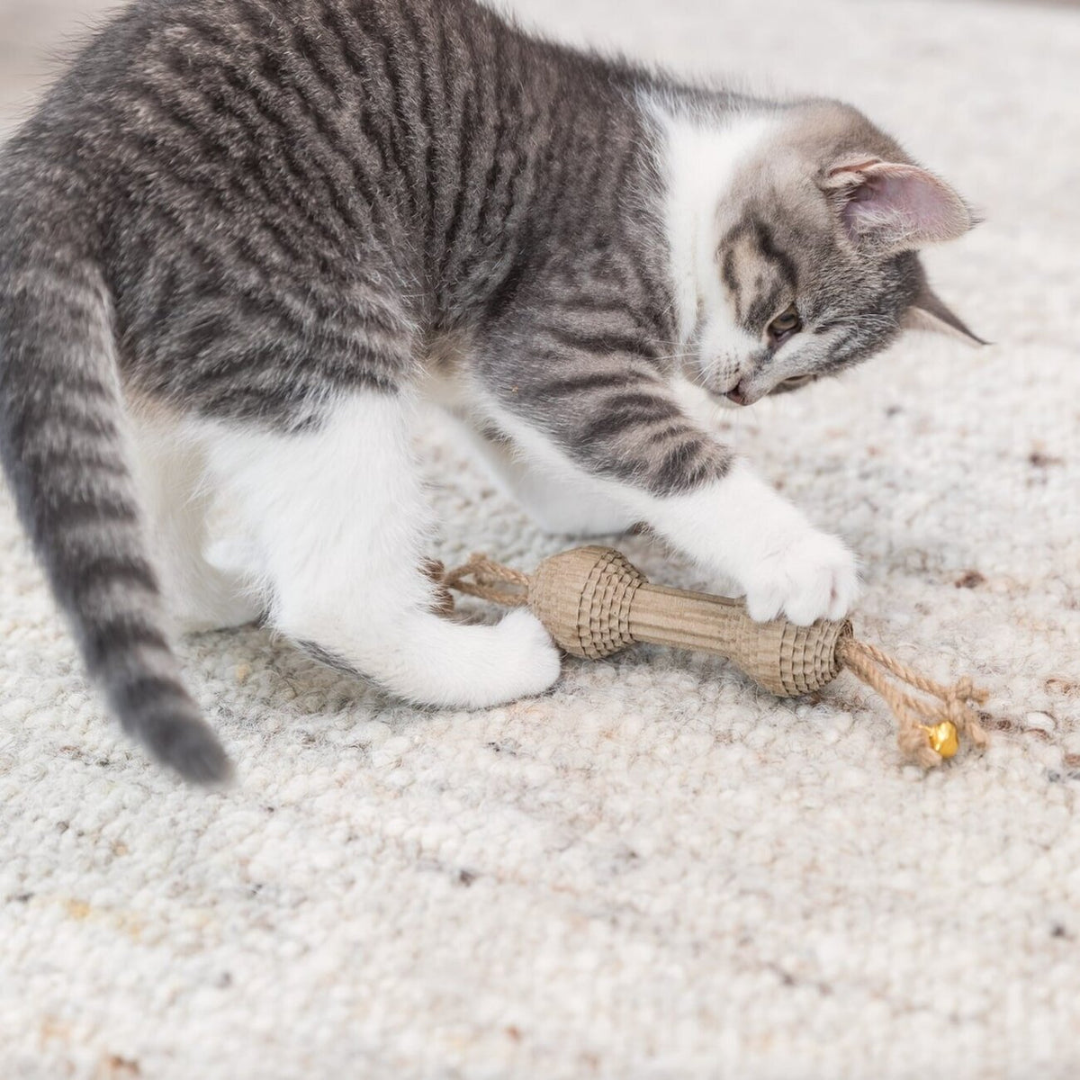 Spielzeug Hantel für Katzen