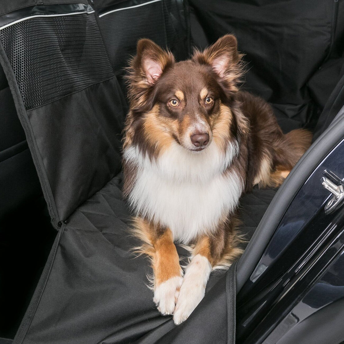 Hunde Auto Schondecke für die Rückbank