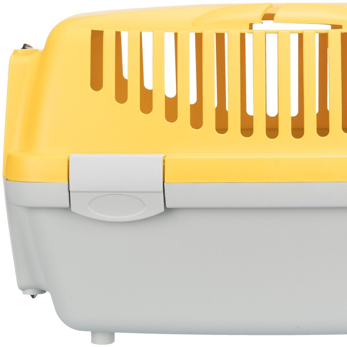 Transportbox Capri 1