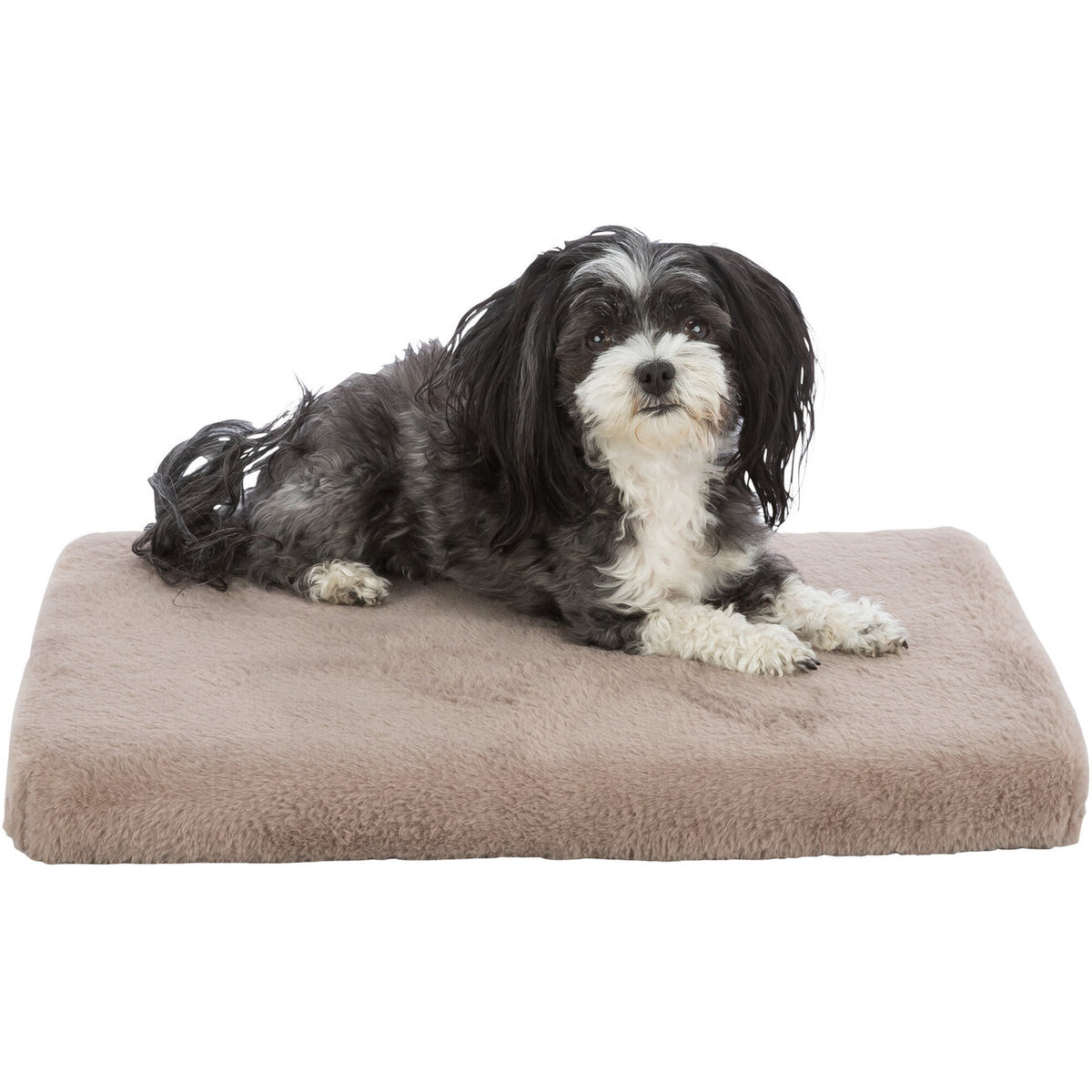 Vital Hundematratze Lonni