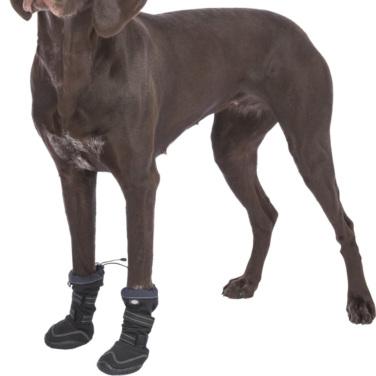 Pfotenschutz Walker Active Long für Hunde mit Profilsohle