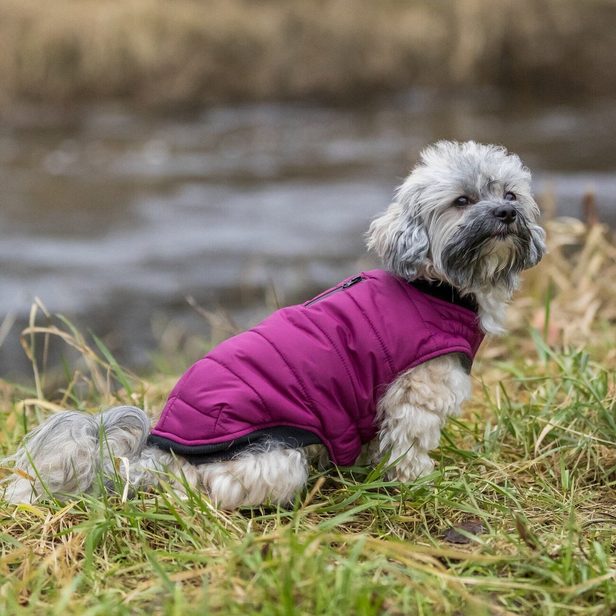 Hundemantel Arlay wasserabweisend