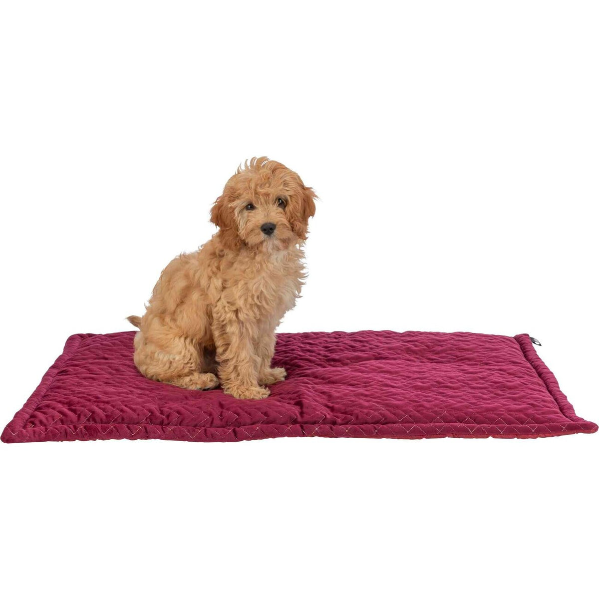 Trixie Xmas Liegematte Natalya für Hunde in Samt-Haptik – Maße: 90 × 60 cm