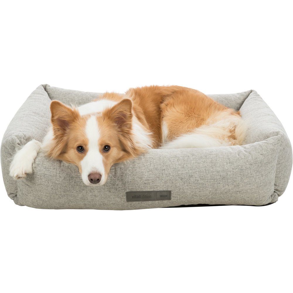 Vital Hundebett Noah