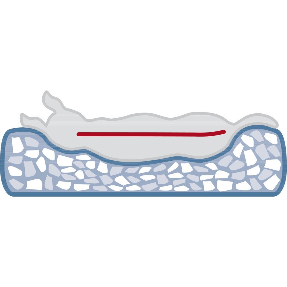 Vital Kissen Noah