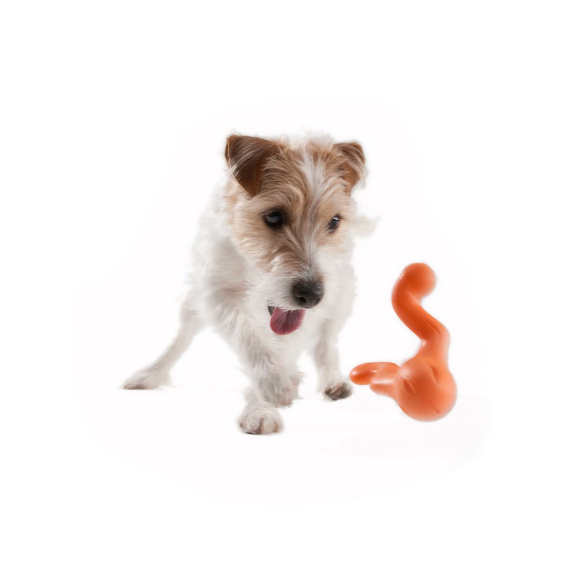 West Paw Tizzi Hundespielzeug