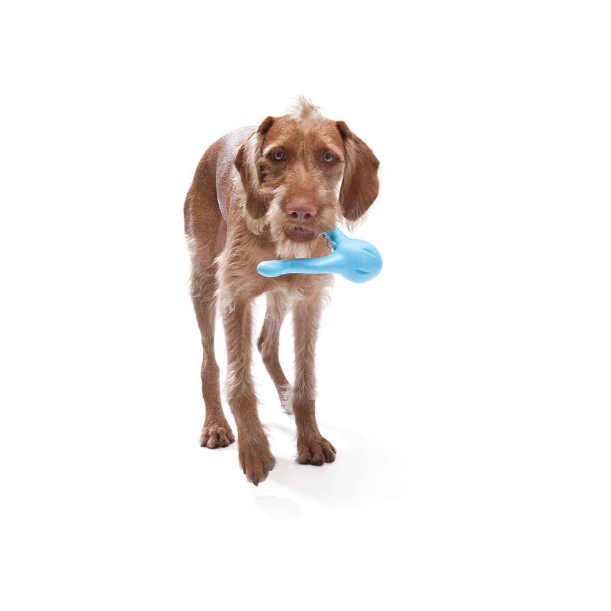West Paw Tizzi Hundespielzeug