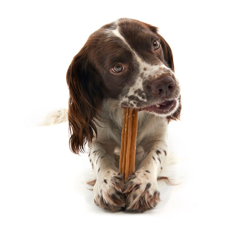 WHIMZEES Zahnpflege Stix Hundesnack