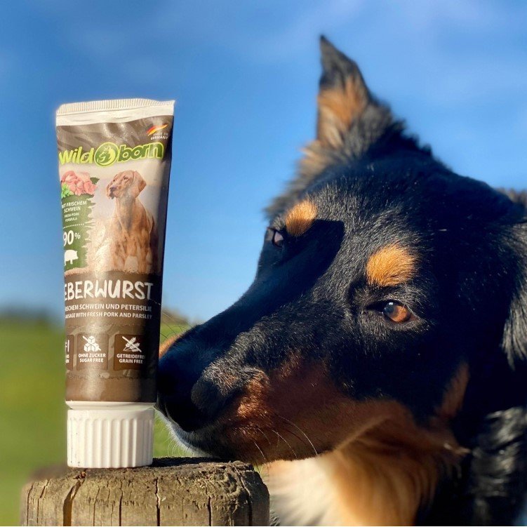 Premium Hunde Leberwurst aus der Tube – Schwein, 75 g