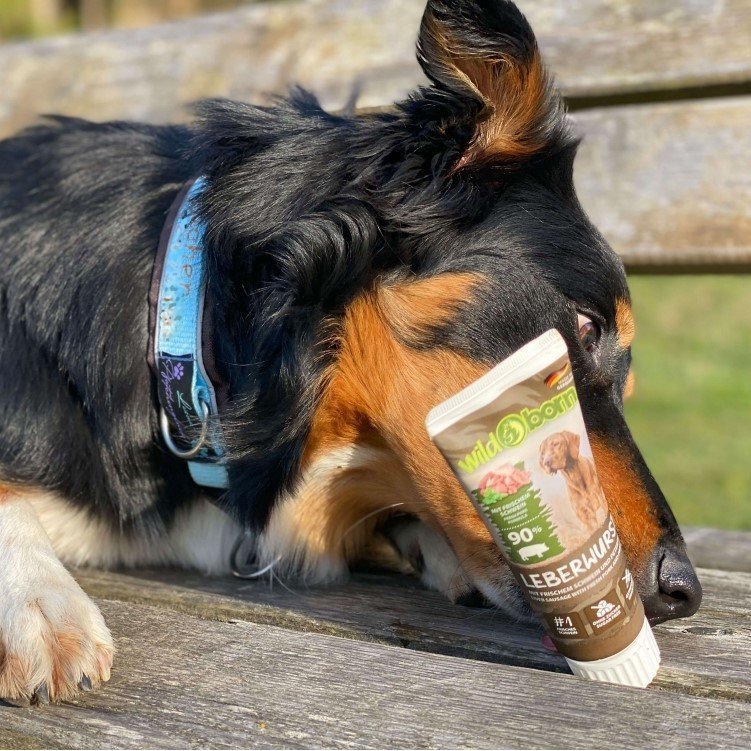 Premium Hunde Leberwurst aus der Tube – Schwein, 75 g