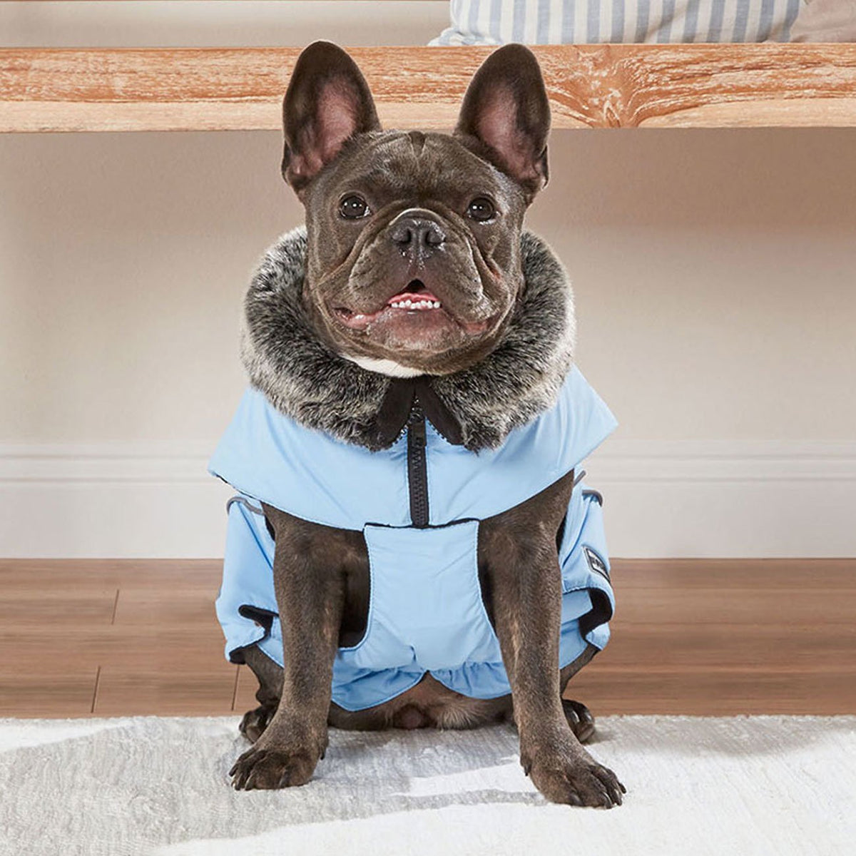 Winterjacke Amundsen für Mops&Co.