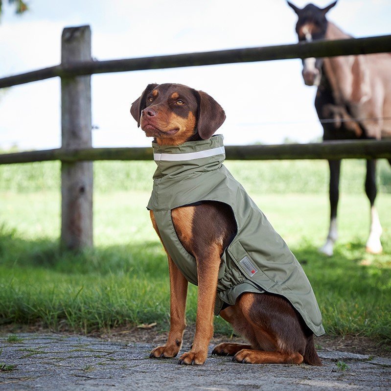 Outdoorjacke Modern Classic