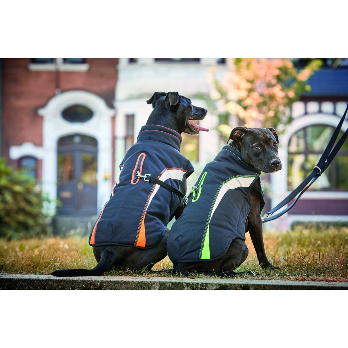 Wolters Outdoorjacke Xtra Strong