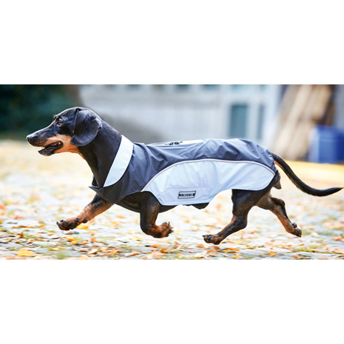Wolters Regenjacke Easy Rain für Dackel
