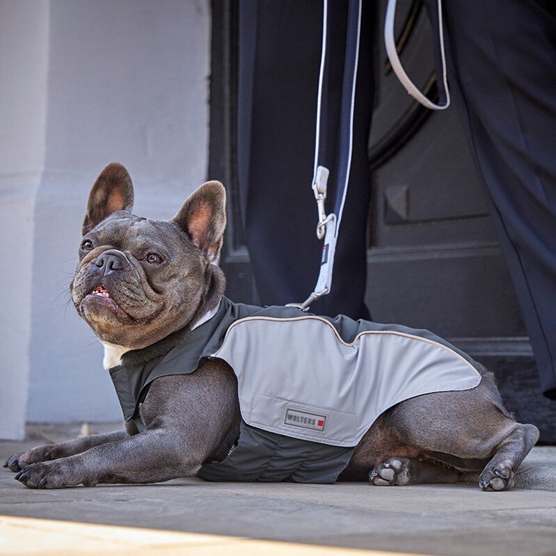 Wolters Regenjacke für Hunde Easy Rain