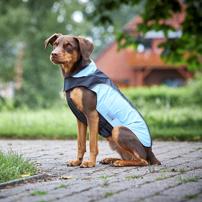 Wolters Regenjacke für Hunde Easy Rain