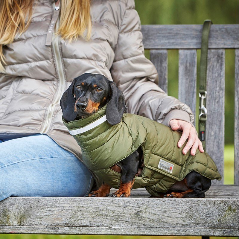 Steppjacke Cosy für Dackel