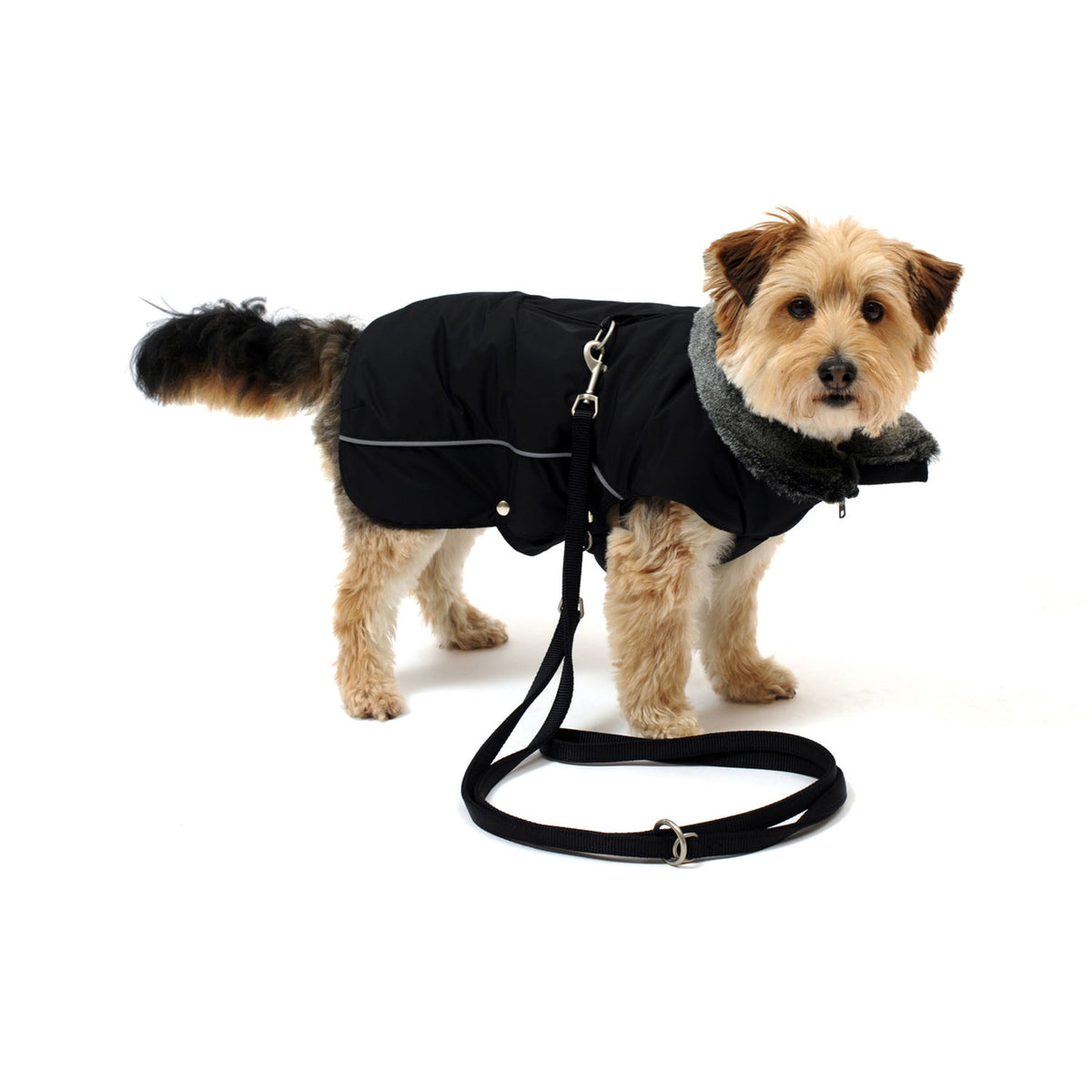 Wolters Winterjacke für Hunde Amundsen