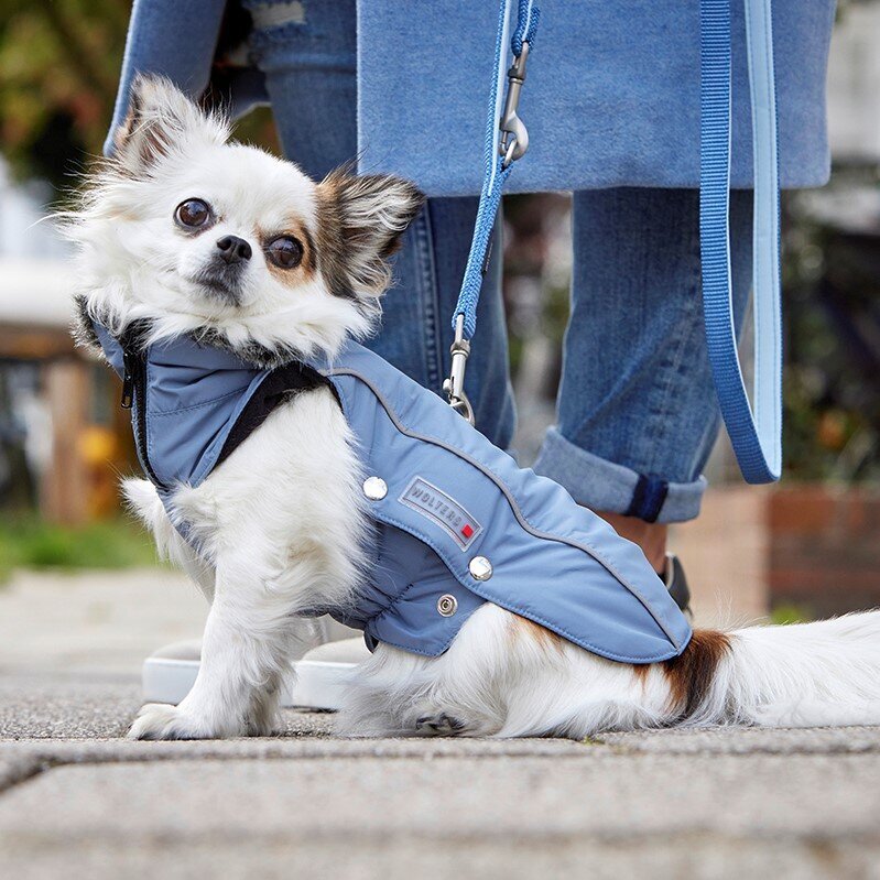 Wolters Winterjacke für Hunde Amundsen