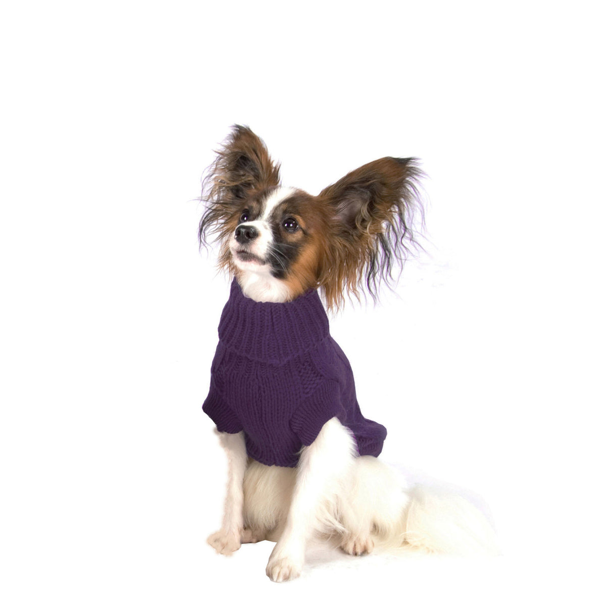 Wolters Zopf-Strickpullover für Hunde