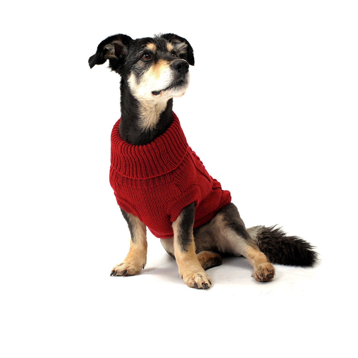 Wolters Zopf-Strickpullover für Hunde
