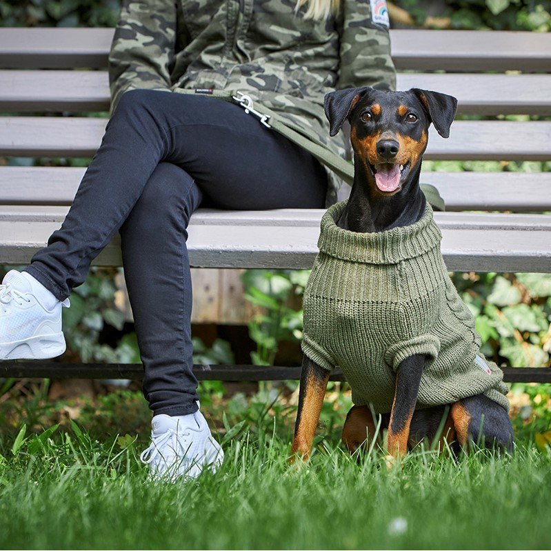 Wolters Zopf-Strickpullover für Hunde