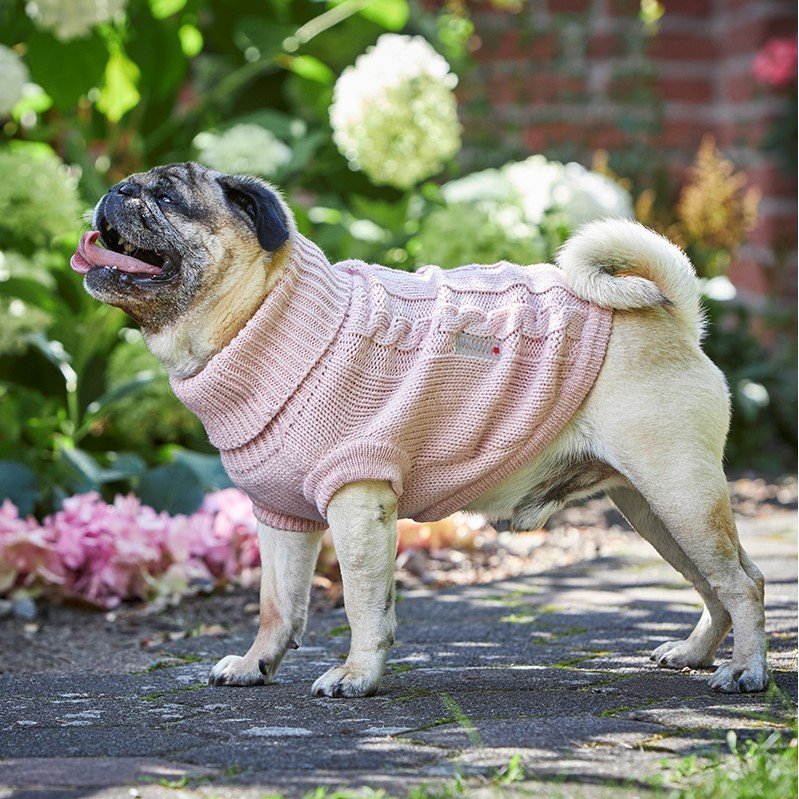 Wolters Zopf-Strickpullover für Mops und Co