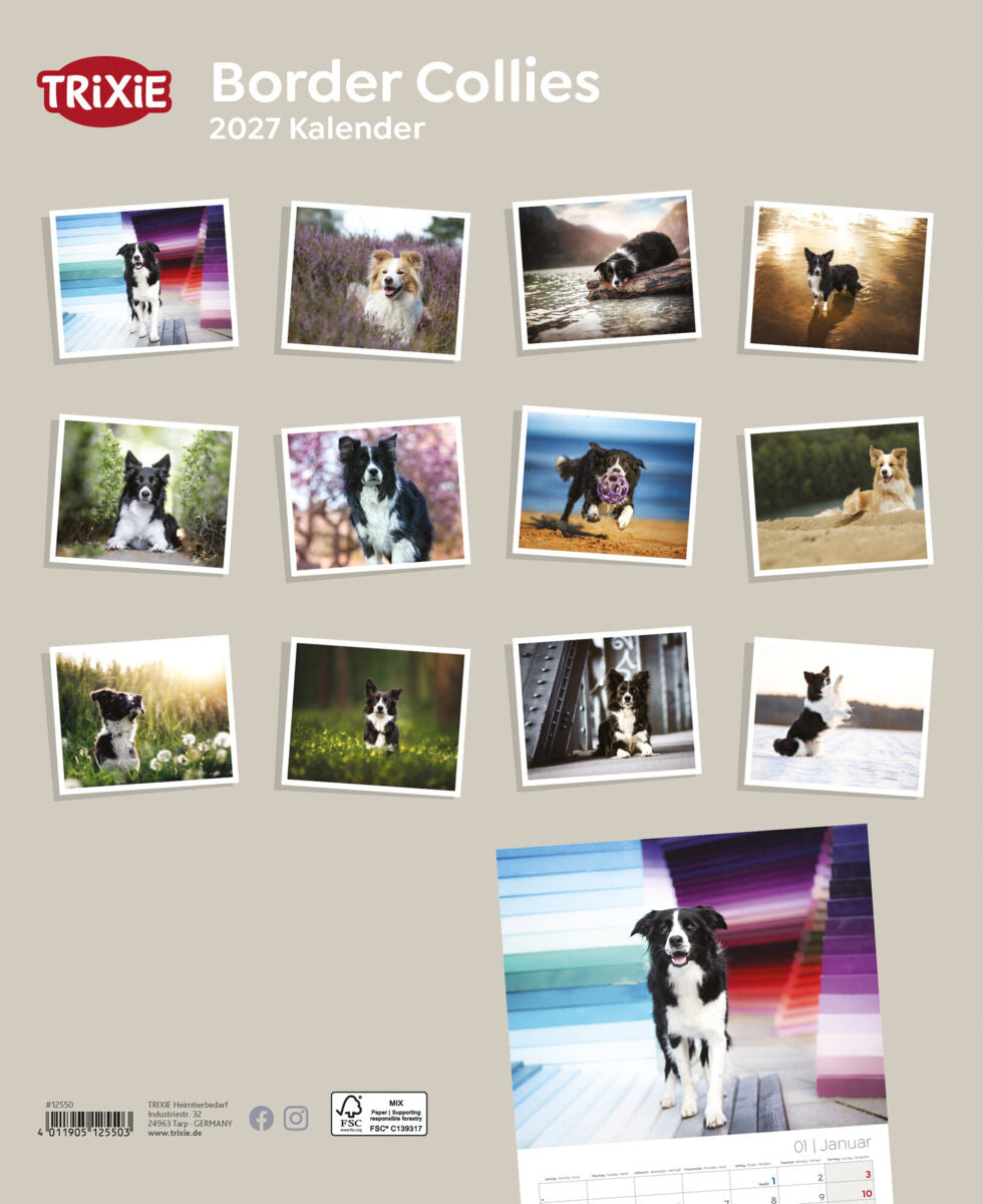 TRIXIE 2027 Kalender Border Collies