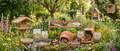 Garten-Wildtiere