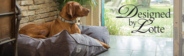Designed by Lotte Designed By Lotte Hundezubehör