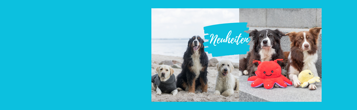 Neuheiten Hund Hundezubehör günstig bestellen