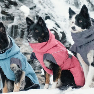 Hundebekleidung