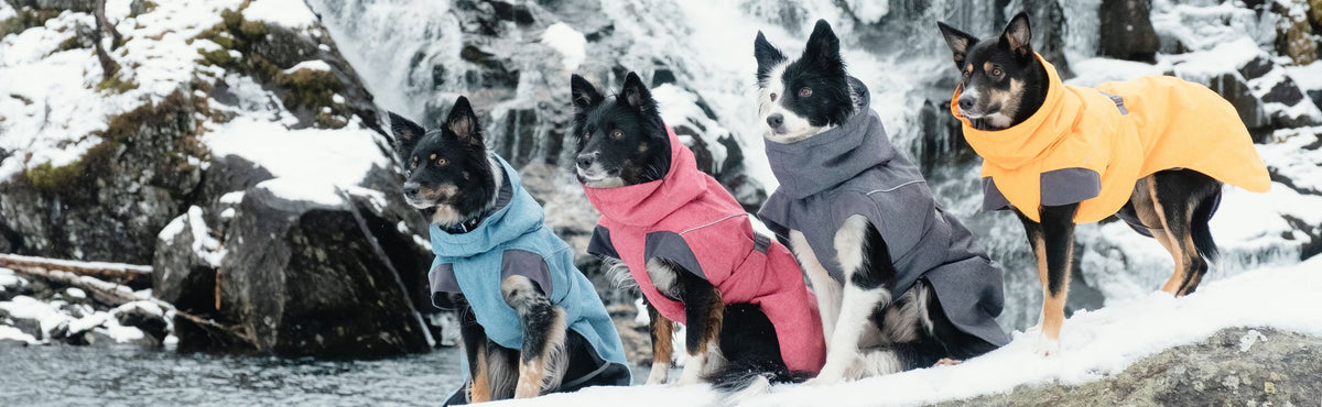 Hundebekleidung günstig kaufen: Warme Mäntel, Pullover & Regenmäntel